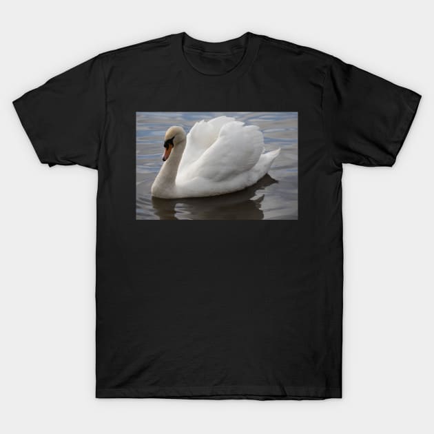 Serenity T-Shirt by AYatesPhoto